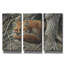 « Sleepy Hollow - Renard roux », triptyque d'art animalier de Mark Mueller, 91,4 cm x 61 cm-697372086