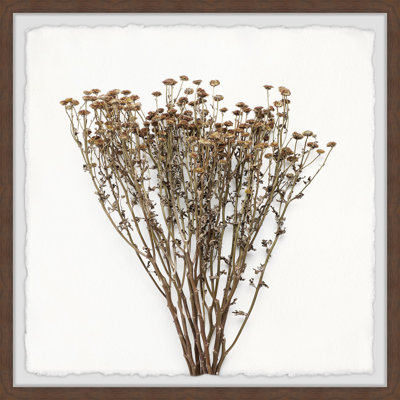 Jaleyah Brown Branches by Marmont Hill - Single Picture Frame Painting Set