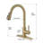 Kitchen Faucet