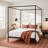 Aston Metal Canopy Bed-1825328377-1825328379-1774376049