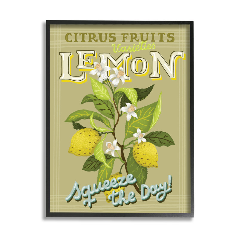 Citron vintage «Squeeze» par Andrea Jasid Grassi, H 14 po x l 11 po x P 1,5 po, Giclée encadrée noir minuit