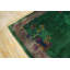 Hand Knotted Wool Area Rug in Green