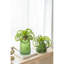 Vase de table Fairborn-1762475745