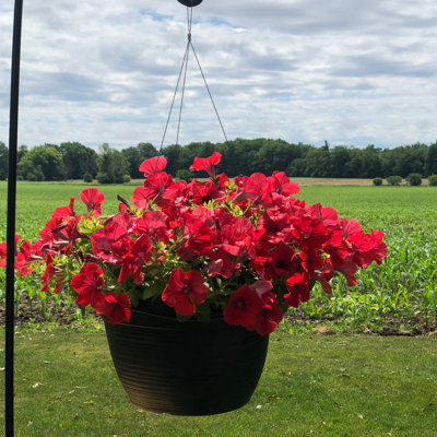 Metal Weather Resistant Plant Hanger