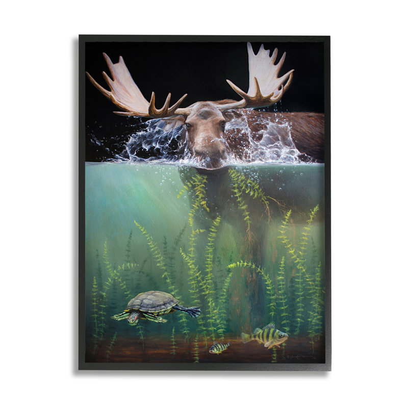 Az-014-Vue encadrée d'un orignal sous l'eau, H 30 po x l 24 po x P 1,5 po, Giclée encadrée noir minuit