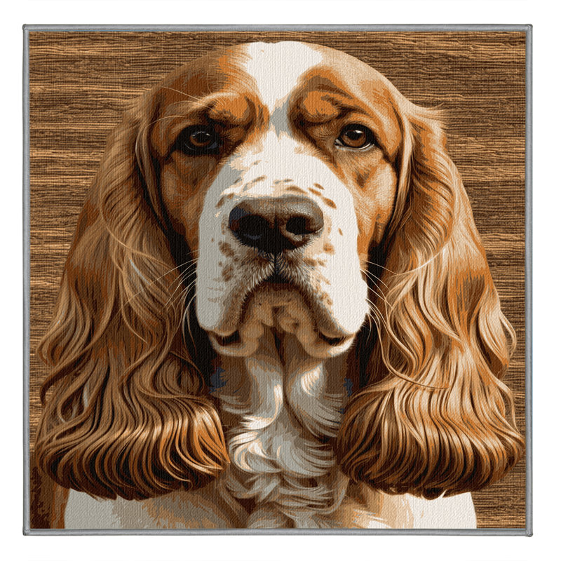  Tapis lavable pour chien Sussex Spaniel, Rectangle 2 pi x 3 pi