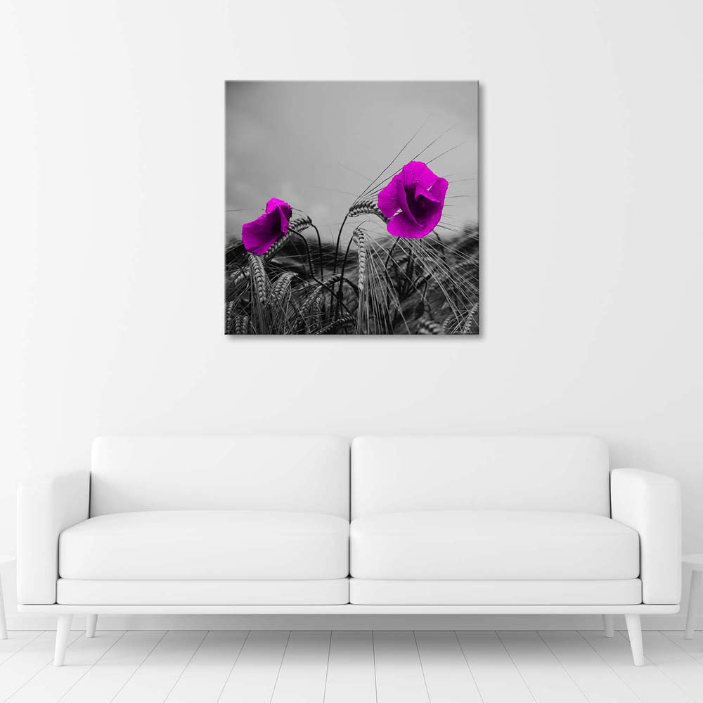 Leinwandbild Purple Poppies