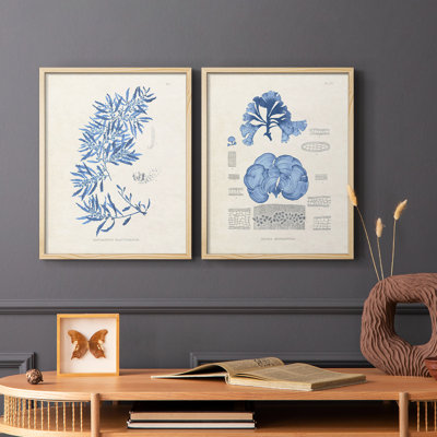 Blue Marine Algae III-Premium Framed Print -Ready to Hang - No Nails Required - No Nails Required