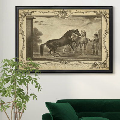 «Distinguished Horses III», reproduction d'art sur toile encadrée