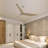 Longway 60'' Ceiling Fan
