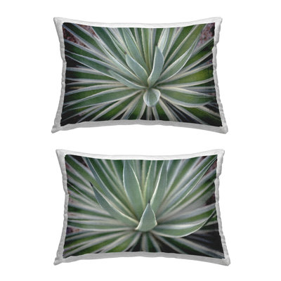 Coussin Agave
