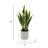 Artificial Sansevieria Snake Plant in Pot-1730798174