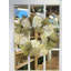 23'' Grapevine Wreath With Hydrangea And Bows