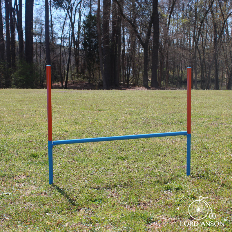 Adjustable Blue Dog Agility Training Set with Tunnel and Poles