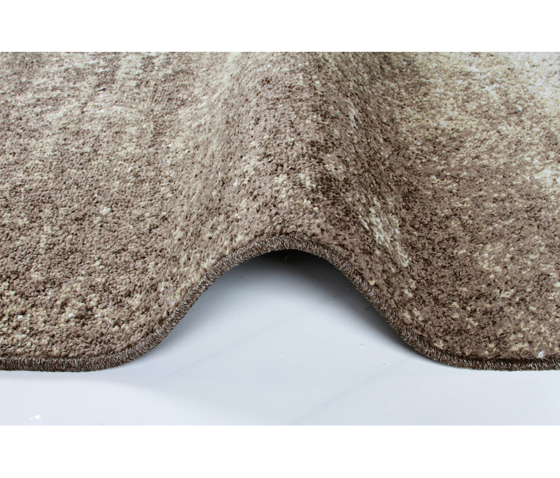 Mcginn Indoor Rug