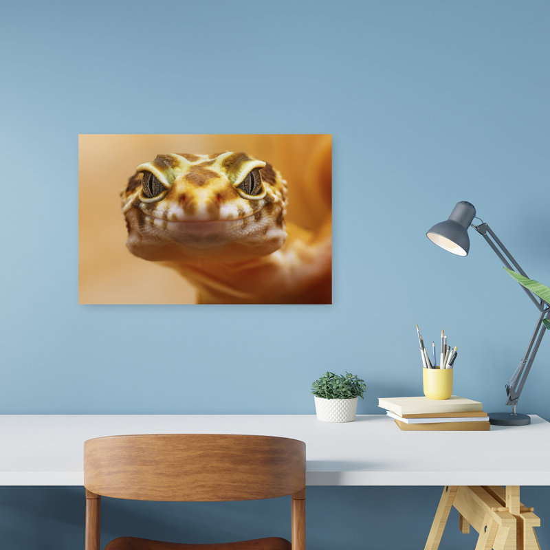 Curious Leopard Gecko Contemporary Lizard Wall Art Print 1 Piece Wrapped Canvas Wall Art, 30.48cm H x 45.72cm W