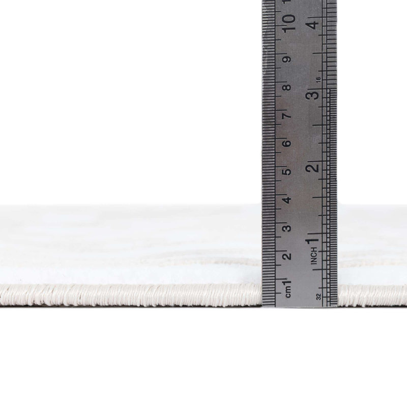 Airyana Oriental Indoor Rug, Square 6'