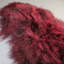 Adrienne Solid Colour Sheepskin 65cm X 95cm Area Rug