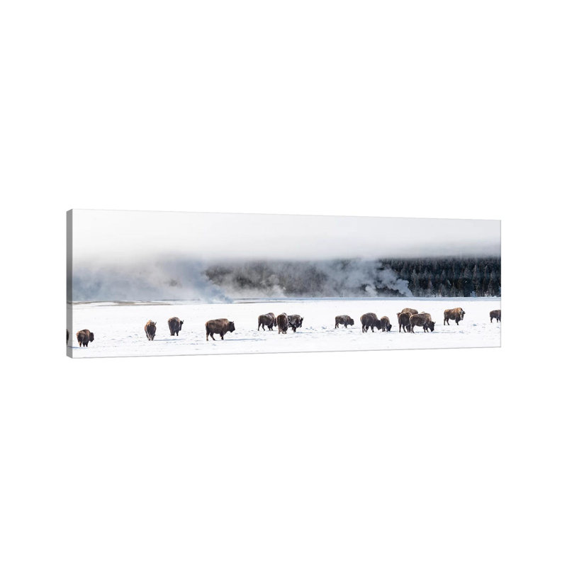 View Of Bison Herd Fountain Flats, Yellowstone National Park, Wyoming, USA - Wrapped Canvas Panoramic Print