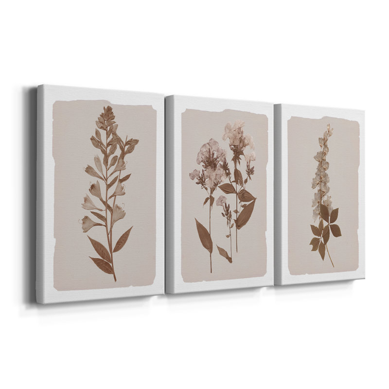 Monochromes botaniques I - Toile tendue avec châssis sur mesure - 3 pièces, H 36 po x l 72 po