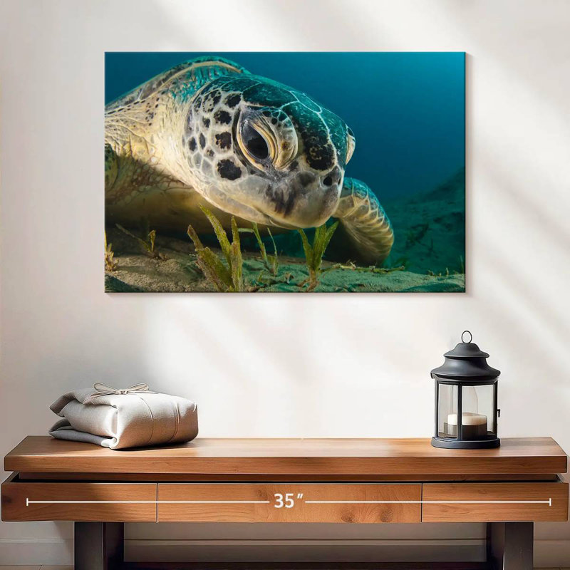 Brampt Sea Turtle Close Up, 16" H x 24" W