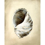 Seashells III Print by Sydney Edmunds