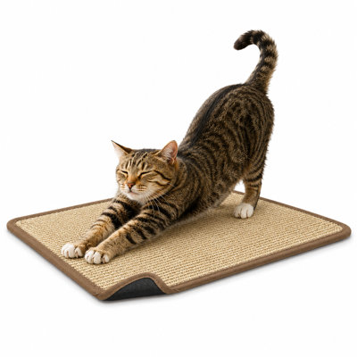 Tapis à griffer en sisal avec tapis en sisal 23,6 x 15,7 po