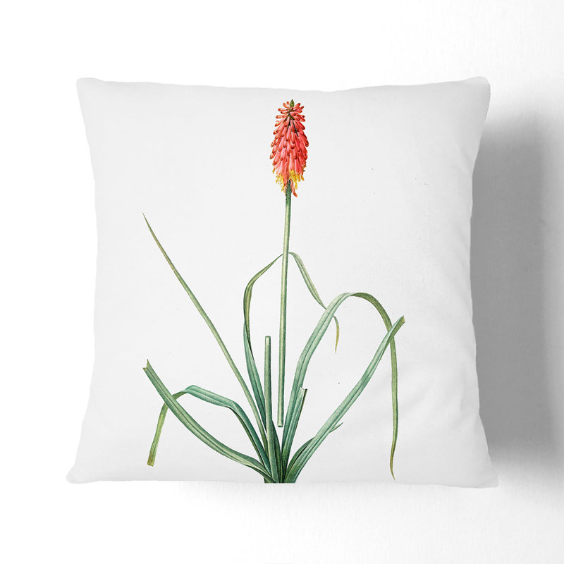 Square Throw Cushion, 55 x 55 cm
