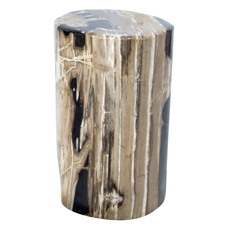 Fossil Relics End Table
