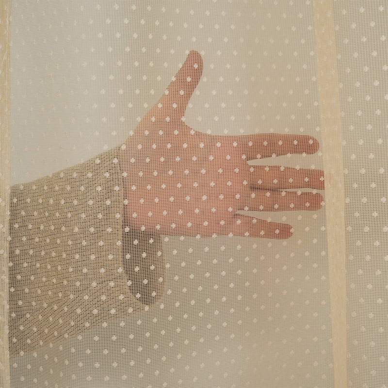 Extra Long and Extra Wide Dots Lace Patterned Sheer Curtain Panels, 52" W x 180" L, Beige