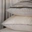 Teryn Square Pillow Cover & Insert