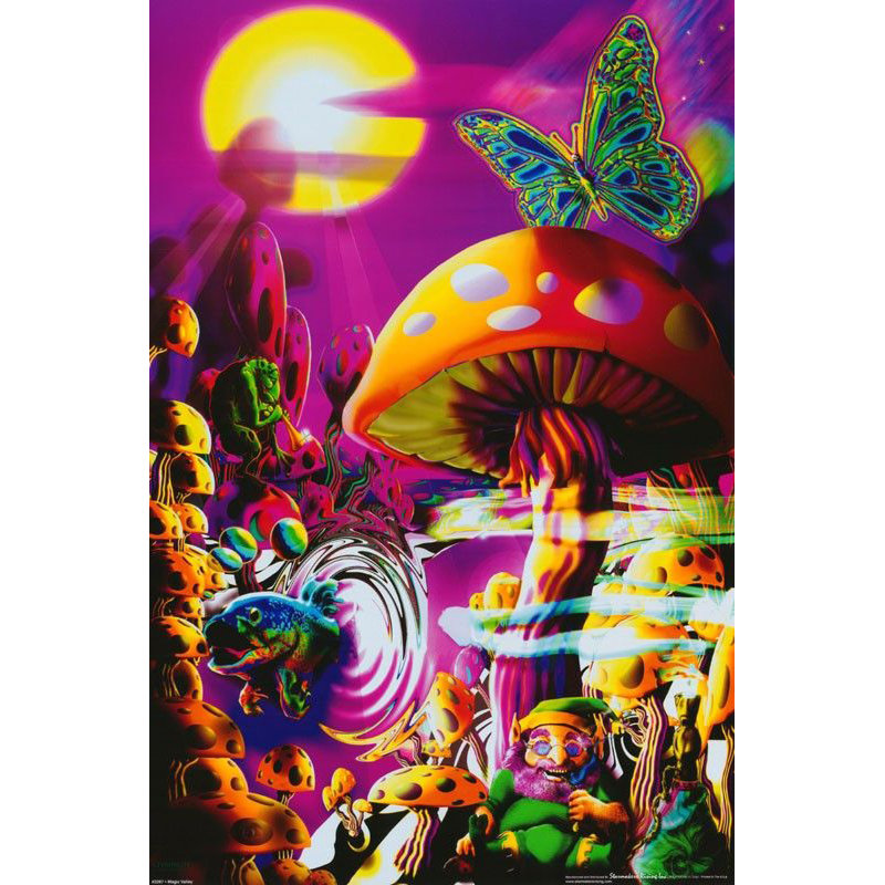  Officiellement sous licence «Magic Valley Mushroom Gnome», affiche d'art rétro - 23 po x 35 po - reproduction décorative - papier affiche - prête à encadrer
