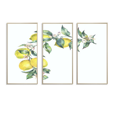 " Unknown " 3 Piece Art Watercolor Painting