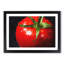 Red Tomatoes - Framed Print-56758774-56758775