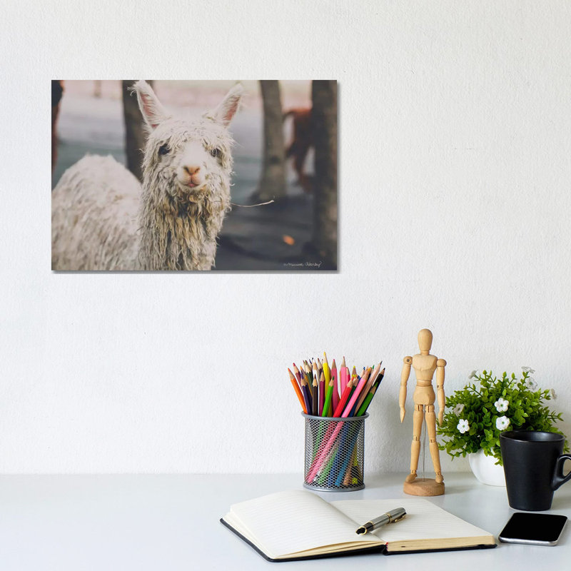 Shabby Alpaca by Melissa Hanley - Wrapped Canvas Print, 20.32 cm H x 30.48 cm W