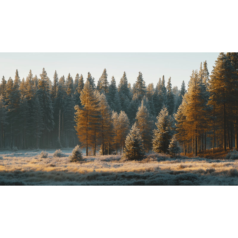 «Snowfall Whisper Woods», art mural sur toile tendue, H 24 po x l 48 po