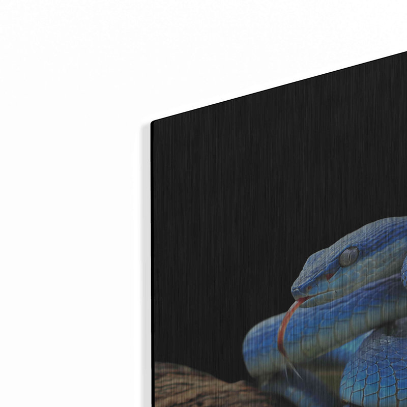 «Slithering Cobalt» par Luxe Metal Portfolio, H 12 po x l 12 po