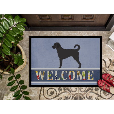 Non-Slip Outdoor Doormat