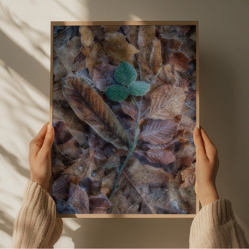 Wrapped Canvas Print, 60.96 cm H x 91.44 cm W