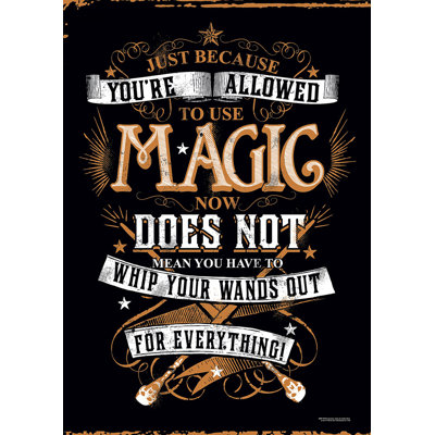 Harry Potter 'Whip Out Your Wand' Textual Art