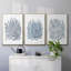 Summer Herb Garden Sketches I, encadré sur toile, 3 pièces-91415641-91415646