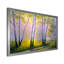 «Morning Sunlight Through The Birches I», reproduction d'art murale traditionnelle-60160528-60160523