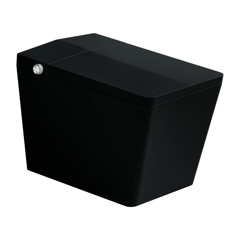 Bathroom Smart Toilet With Built-In Tank, Auto Flush, Heated Seat, Remote Control, Led Display, Black Square Feature Synthesis