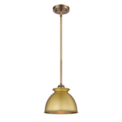 Luminaire suspendu 1 lumière
