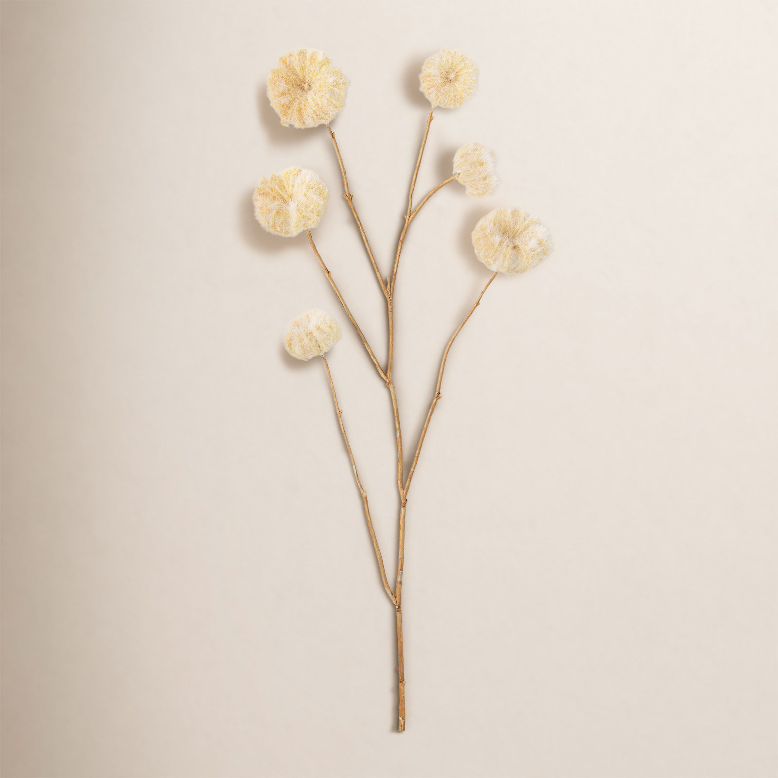 Madie Pod Stems, Off-White