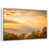 Floating Frame White