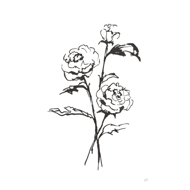 Line Ranunculus I, H 30 po x l 20 po