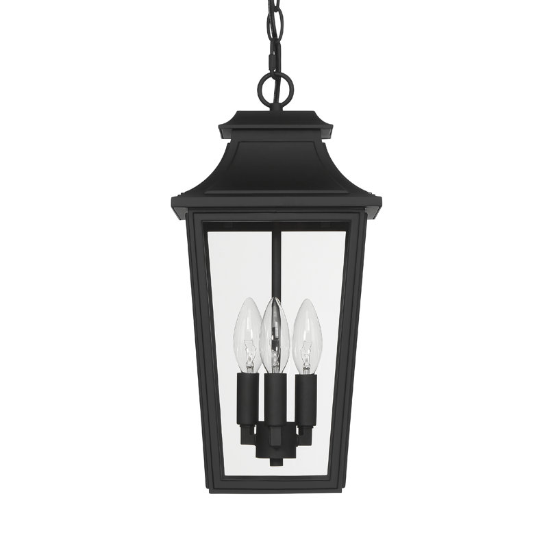 Hunter Spring Cove Outdoor 3 Light Large 17 Inch Pendant, Black