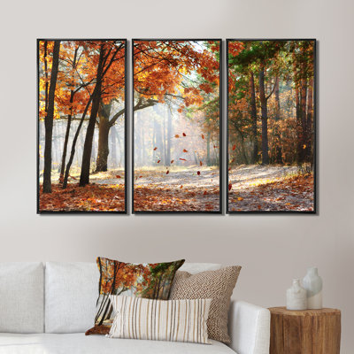 " Red Autumn Trees In The Afternoon " 3 - Pieces