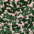 Green/Pink
